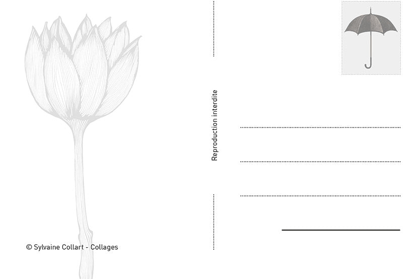 Postale carte • La Belle Imprudente