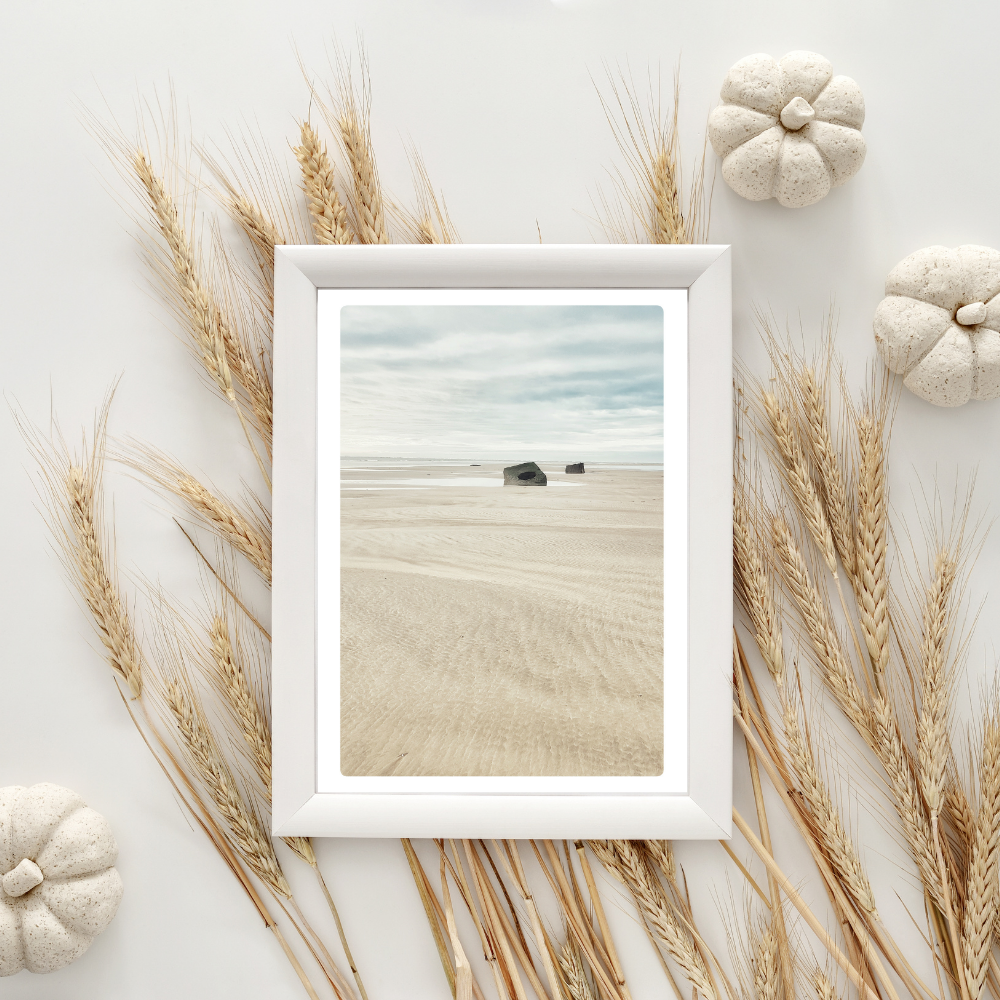 Postale carte  • Île d'Oléron II