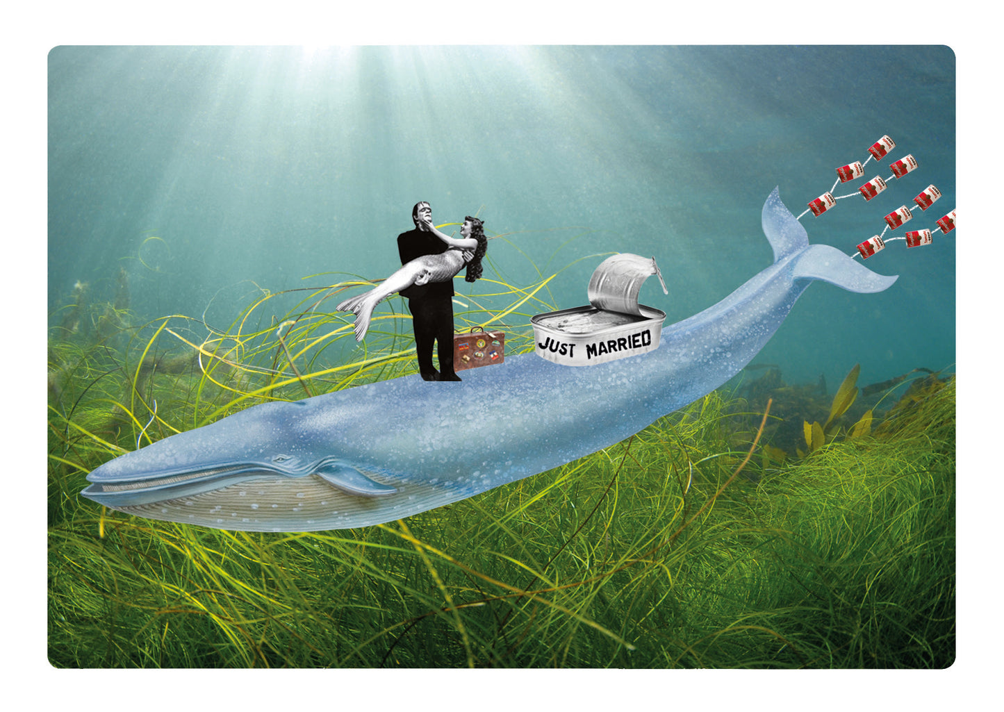 Promotion - Lot de 4 cartes postales • "Mer et Mythes" | Miss Sardine
